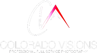 cvlogo
